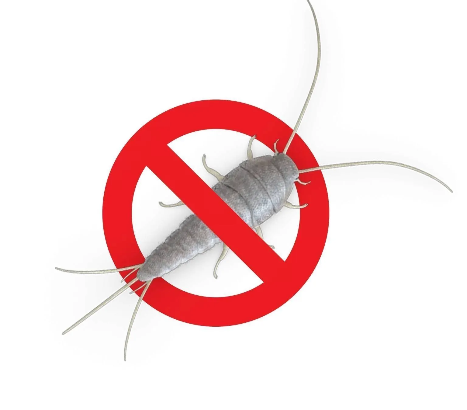 Silverfish Control